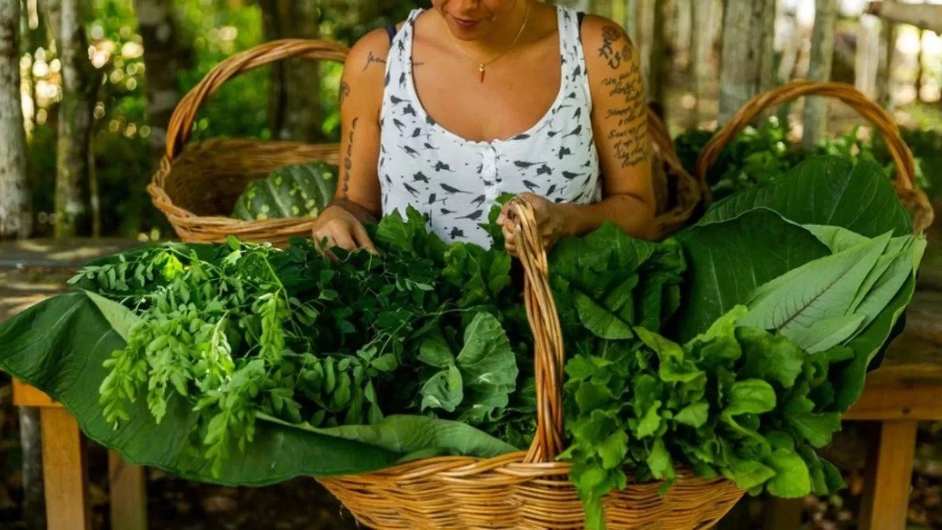 Trancoso promove a quarta edição do Organic Festival