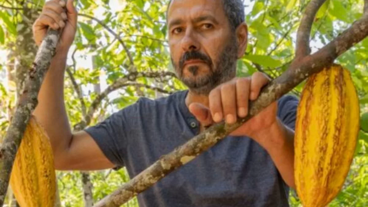 Das 96 novelas exibidas no horário nobre da Globo, apenas quatro foram remakes e “Renascer” será uma delas