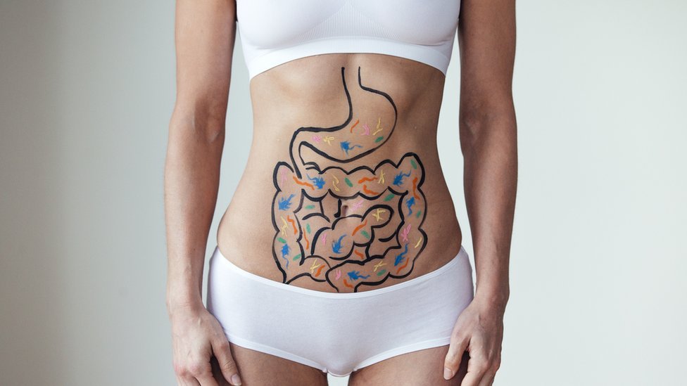 Nutricionista Alerta Brasileiros: Evitem a Qualquer Custo Este “Vilão da Saúde Intestinal”