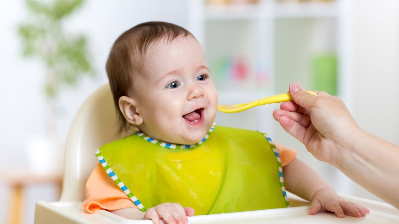 O que é introdução alimentar e quando deve começar